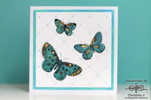 mother of butterflies1