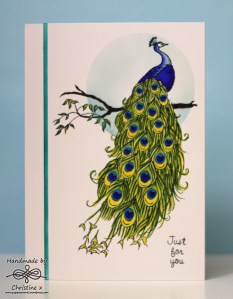 Peacock