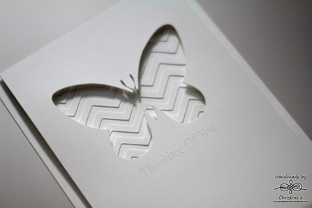 White butterfly close up