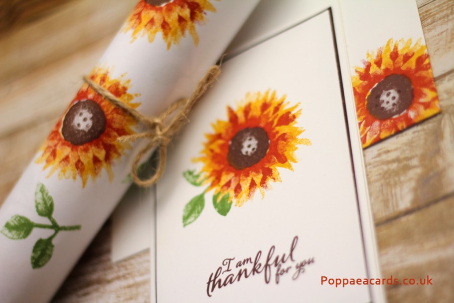 Painted Harvest gift set main