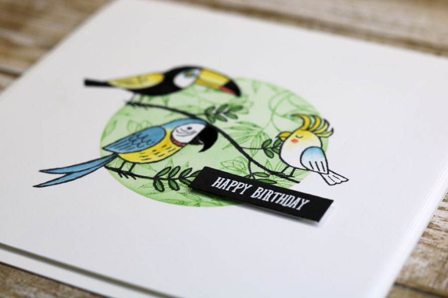 BirdBanterMuse251Feature